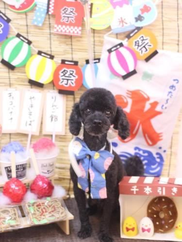 20240704マハロくん